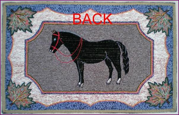 Black Horse Back
